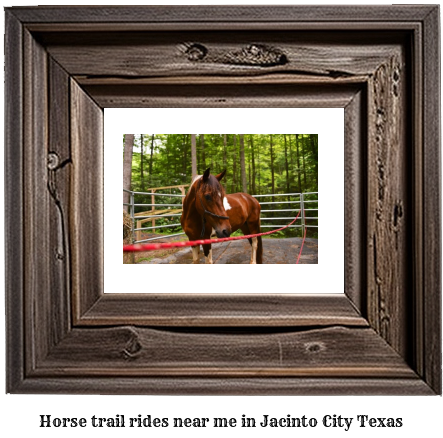 horse trail rides near me in Jacinto City, Texas